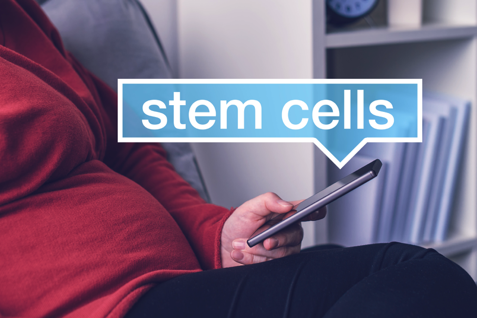 stem cell seminars