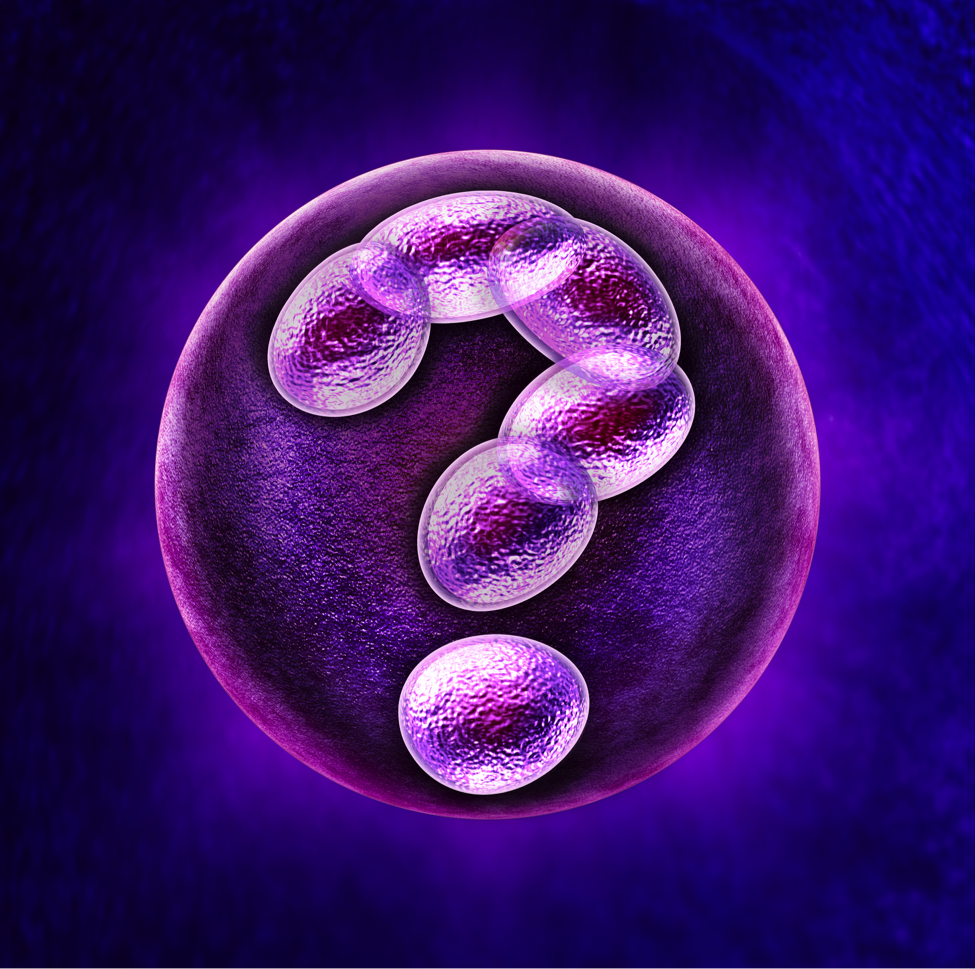 stem cell question